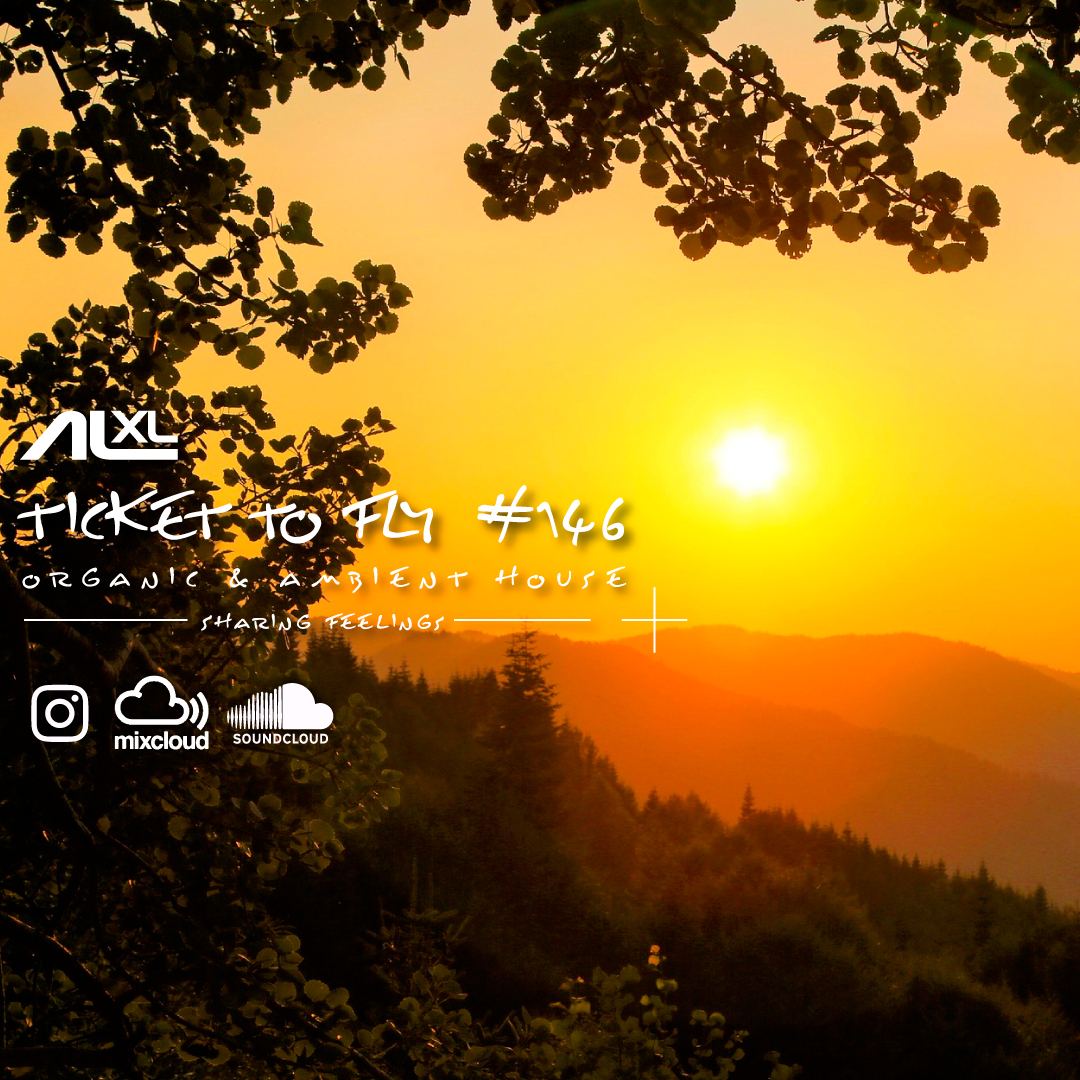 Ticket to Fly #146