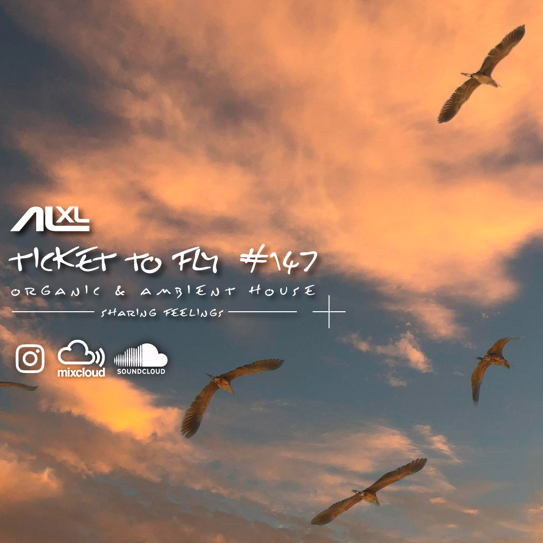 Ticket to Fly #147
